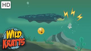 Wild Kratts |Mud MONSTERS|Eels