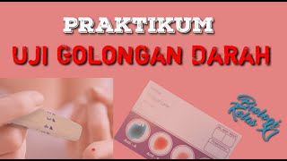 Praktikum Uji Golongan Darah