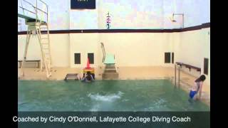 Dive 302 C - Reverse Somersault Tuck - One Meter Springboard