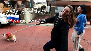 [국제커플] 린나와나 vlog l 개랑 산책하는 러시아 와이프 / 국제결혼 / 국제연애 / 한러커플 / 결혼준비 / 개산책 / 구미 / 시바견 / 웰시코기 / 뒷산 / 애완동물