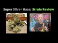 Super Silver Haze Cannabis Strain Review