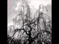 Colin Stetson & Sarah Neufeld - Won't Be a Thing to Become