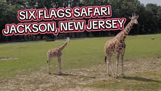 SIX FLAGS SAFARI, JACKSON, NEW JERSEY!!!
