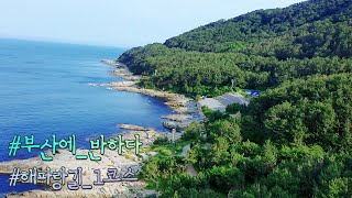 [부산에 반하다 1회] 해파랑길 1코스 편