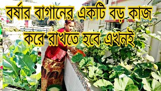 বর্ষার বাগানের সবচেয়ে গুরুত্বপূর্ণ কাজ করে রাখুন এখনই। ঘরের তৈরি একটু খাবার ও দিলাম#roofgarden#chad