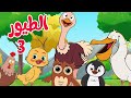 أغنية الطيور 03 -  قناة أسرتنا للأطفال