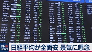 日経平均が全面安 景気に懸念