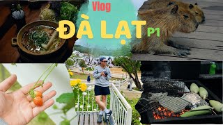 Vlog / Anh Chị Em Mình đi Đà Lạt P.1  | Du Lịch Ẩm Thực Đà Lạt