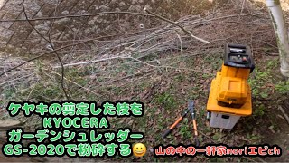 [山の中の一軒家] ケヤキの剪定した枝をKYOCERAガーデンシュレッダーGS-2020で粉砕する😀　令和6年3月10日(水)