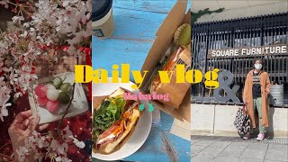 【Vlog #3】40代日常Vlog｜春におでかけした充実した5日間｜京都の桜🌸｜＋JじゃないJIL SANDERを買った日｜カフェ探索