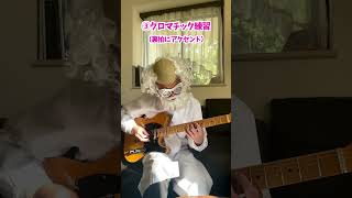 ギターを演奏する前にやる事は？《ハカセのモーニングルーティン》