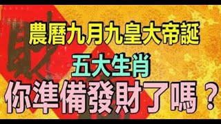 財富會自然向著你來，富裕的日子不遠農曆九月九皇大帝誕，五大生肖準備發財了。如果能極佳面對人生，那正面與偏財的財富是真的不可擋。#佛門因果 #佛語 #運勢#佛教 #生肖