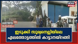 Kerala News | ഇടുക്കി സൂര്യനെല്ലിയിലെ ഏലത്തോട്ടത്തിൽ കാട്ടാനയിറങ്ങി | Malayalam News