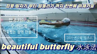 힘 안 들이고 우아한 접영 만들기! 코타의 팁 2편 Gorgeous Butterfly Technique!!