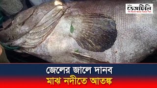 জেলের জালে দানব, মাঝ নদীতে আতঙ্ক | Catching Fish | Big Fish