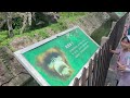 深圳野生動物園🤩香港訂購hk$99成人😇深圳西麗湖站b出口💃步行800米🚶‍♂️地址：深圳市南山區麗水路與春園路交叉口西北角😇超多動物🥳珍禽異獸 🤩大開眼界👍🏻 交通方便🥰開放時間