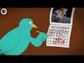 Where Do Birds Go In Winter?