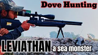 Dove hunting with PCP airgun | Nova vista Leviathan PS-R2.