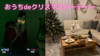 愛犬とおうちでクリスマス【日本スピッツ】