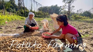 Farming by Day, Folk music by Night: A Perfect Village Vlog || Bharat Lok Sangeet