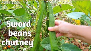 Sword beans spicy salad (chutney)