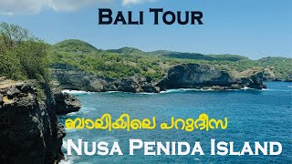 ബാലിയിലെ പറുദീസ....... Nusa Penida Island #malayalamvlog