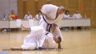 IOGKF World Budosai 2016. Video#8