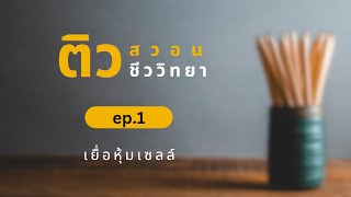 ติว สอวน ชีวะ (ep1) : เยื่อหุ้มเซลล์