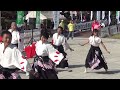 ふささら祭 14 wf会場 大宮同心桜連 夢花火