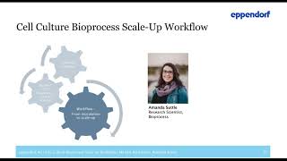 Cell Culture Bioprocess Scale-Up Workflow from Bench to Pilot/Production Scale