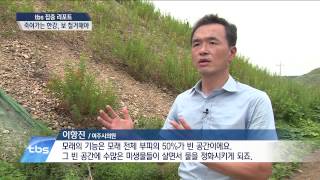 [tbstv] [집중리포트] 죽어가는 한강, 보 철거해야