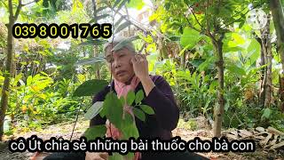 cô út dưa mắm chia sẻ cặn kẽ về bài thuốc teo cơ tâm linh phật pháp Nam Mô A Di Đà Phật