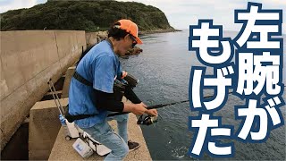 ゴリラパワーの魚が掛かり左腕がもげる堤防フィーバー