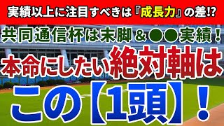 共同通信杯2021【絶対軸1頭】公開！実績上位馬を過剰評価するべからず！？有り余る素質で浮上する絶対軸はアノ馬！