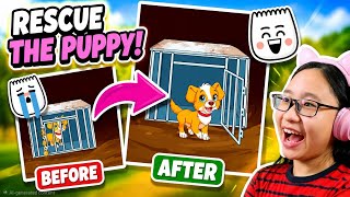Saving The Poor Puppy😇❤️ 🩹 - Trick Prank - Part 6