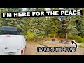 Vanlife Diaries | I Am Here For The Peace | Visiting One Of My Favorite Campgrounds