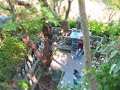 a couple smooches in the garden at hasedera temple gardens in kamakura japan mvi_5534