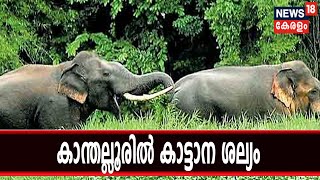 Naattu Varthamaanam: കാന്തല്ലൂരില്‍ ജനവാസ മേഖലകളില്‍ ഭീതി പടര്‍ത്തി കാട്ടാനക്കൂട്ടം |24th March 2019