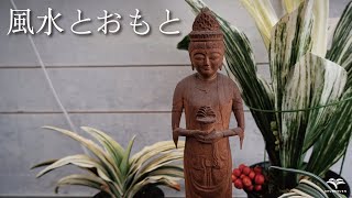 「風水」とおもと。【開運 万年青】