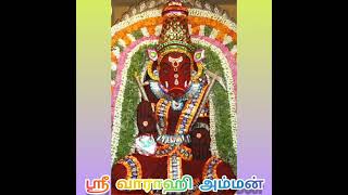 மந்திர தந்திர சூழ்ச்சிகளை அழிப்பாள் ஸ்ரீ வாராஹி அம்மன்