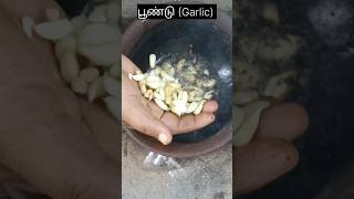 திருக்கைமீன் குழம்பு|stingray fish curry||Thirukkai meen kuzhambu ||Fish Curry making||fish receipe