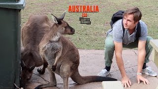 GOING FULL KANGAROO AT AN AUSTRALIAN ZOO!