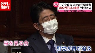 安倍前総理側８００万円負担か…“桜夕食会”野党「国会で虚偽答弁」と批判（2020年11月24日放送「news every.」より）