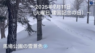 大雪と吹雪が凄かった🌨️