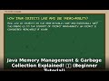 Java Memory Management & Garbage Collection EXPLAINED! 🧠🧹 (Beginner's Guide)