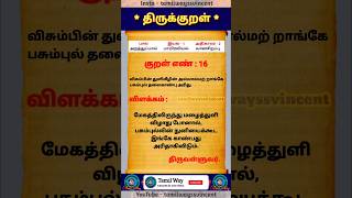 குறள் 16 | விசும்பின்துளிவிழின்அல்லால்மற்றாங்கேபசும்புல்தலைக்காண்புஅரிது #kural16 #tamilwayssvincent