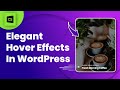 Create Elegant Hover Effects In WordPress - No Code!