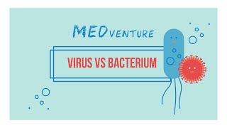 MEDventure: Virus vs. bacterium – What is the most important difference?