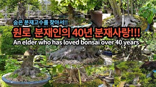 원로 분재인의 40년 분재사랑!!! An elder who has loved bonsai over 40 years