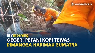 Ngeri! Petani Kopi di Lampung Tewas Diterkam Harimau, Jasad Korban Tak Utuh | NTV MORNING